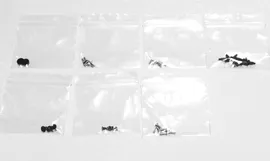 Mavic Mini Aircraft Screw Set