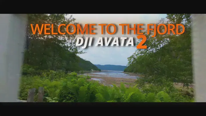 🎥🌸 DJI Avata 2 Welcome to the fjord🇨🇦
