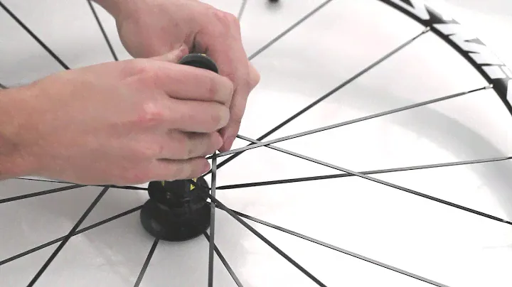 Install a 2013 Mavic FTSL Freehub body